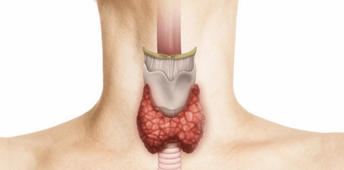 Енциклопедія захворювань