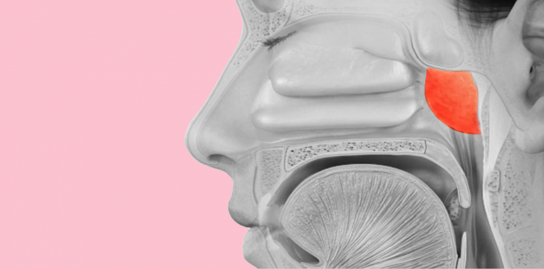 Енциклопедія захворювань